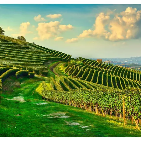 Apartmán Sofy House *